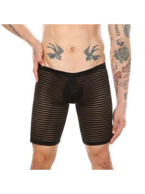iEFiEL Mens See-through Striped Boxer Briefs Sheer Elastic Waistband Shorts Underwear Trunks