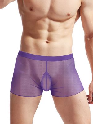 Mens Mesh Sheer Ruffle Trim Boxer Briefs Underwear