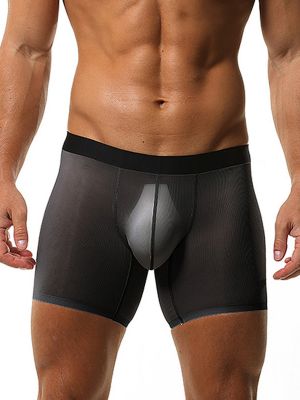 Mens Mesh See Through Bulge Pouch Underwear Boxer Shorts 