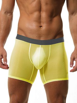 Mens Mesh See Through Bulge Pouch Underwear Boxer Shorts 