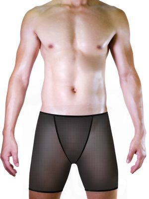 Mens See Through Fine Mesh Boxer Briefs Shorts 