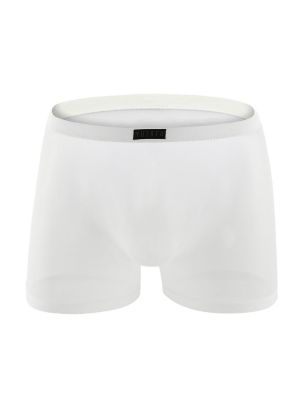 Men's Sexy Sheer Mesh Shorts Boxer Briefs Underwear 