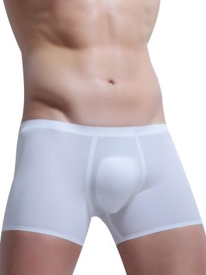 Mens Sheer Bulge Pouch Stretchy Seamless Boxer Briefs